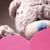 Suzanne Riddle-Gericke's profile image