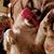 Stephanie Franks Pichoff's profile image