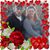 Elizabeth Charles Blevins's profile image