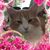 Deborath Metts Driggers's profile image