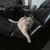 Patricia Ann's profile image