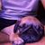 Eric Habursky's profile image