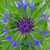 Kimberly Sprecher's profile image