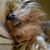 Tia Alford's profile image