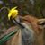 Linda Dann's profile image