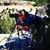 Kelli Thompson's profile image
