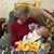 Sue Wheeler's profile image