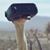 Kary Goolsby's profile image