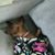 Natalie C. Gary's profile image