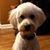Randy C. Weikel's profile image
