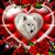Michele Webb's profile image