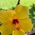 Patricia Freeman Danford's profile image