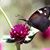 Karen Lee Miller's profile image