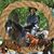 Myke Mosby's profile image