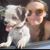 Jen Scriber's profile image