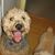 John Pfeifer's profile image