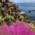 Sandra Jo Newby's profile image