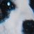 Clary Hellmark Padgett's profile image