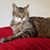 Judy Chance's profile image