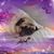 Lori Smith's profile image