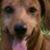 Patricia Delaney's profile image