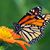 Betty Beane's profile image