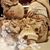 Judy Farrell Brunner's profile image