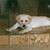 Kevin Deemer's profile image
