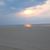 Tina L. Sewell's profile image