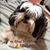Joel N Lyza Olmedo's profile image