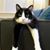 Kristine Argent's profile image