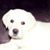Ronna Hammers's profile image