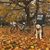 Briana Foulk's profile image