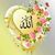 Taj Noor Zai's profile image