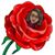 Leslie Graves's profile image