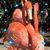 Tammy L Whitebeaver Anderson's profile image