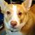 Glenn Clayton's profile image