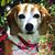 Janice Zimmerman Olson's profile image