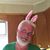 Jimi Eckert's profile image