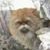 Eugene Pearson's profile image