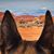 Karen Elderberry's profile image
