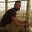 Alberto Berrto's profile image