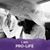 Pino Silvestre's profile image