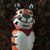 Tom Marker's profile image