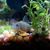 Tracy R. Sickles's profile image
