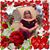 Lemos Nidia's profile image