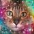 Amy Arnold's profile image