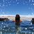 Paola Franceschini's profile image