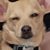 Joseph Poole's profile image