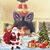 Rosemarie Cipolloni's profile image